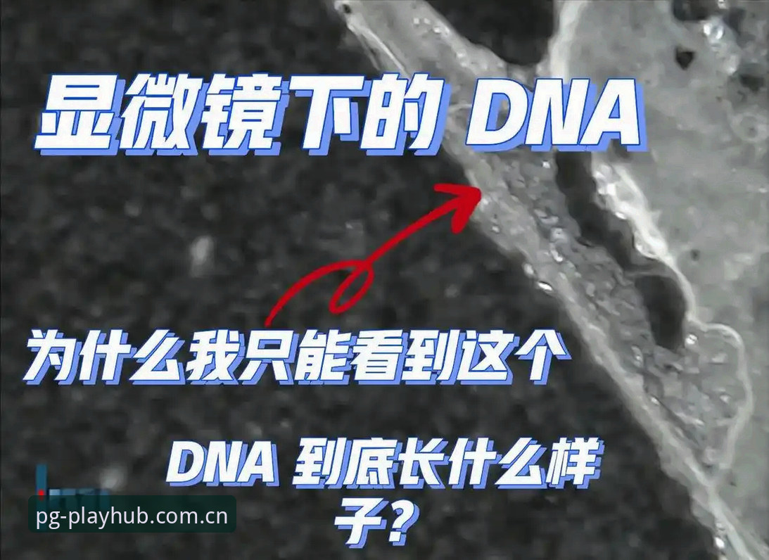 揭秘！PG电子最新链接最新版背后的官方安全通道真相，这些事你绝对不知道